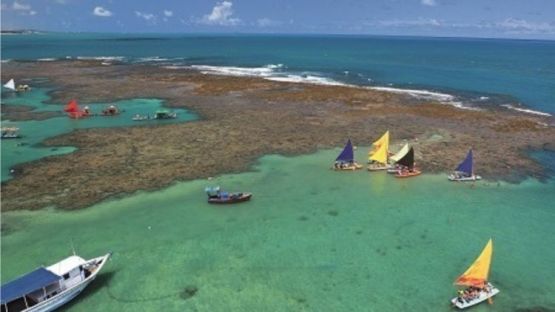 Dia Inteiro em Porto de Galinhas (Sa&iacute;da Recife) - Regular (C&oacute;d. 159)